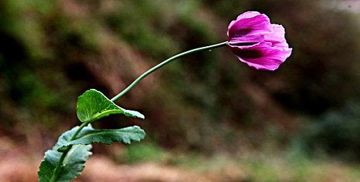 《逆向坍塌：面包房行动》：Steam6月新品节开放试玩，核聚变线下嘉年华推出全新关卡